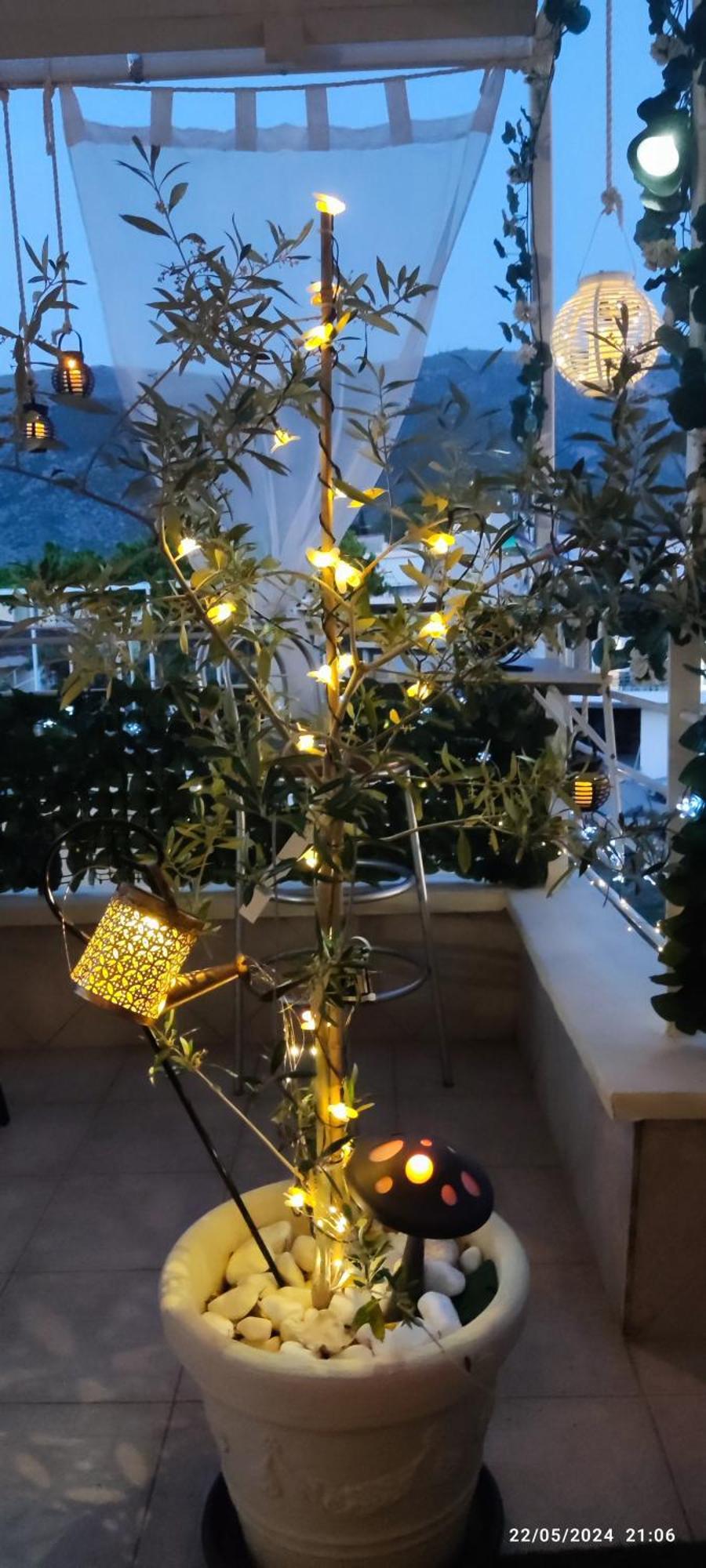 Apartament Delphitea Philoxenia Zewnętrze zdjęcie